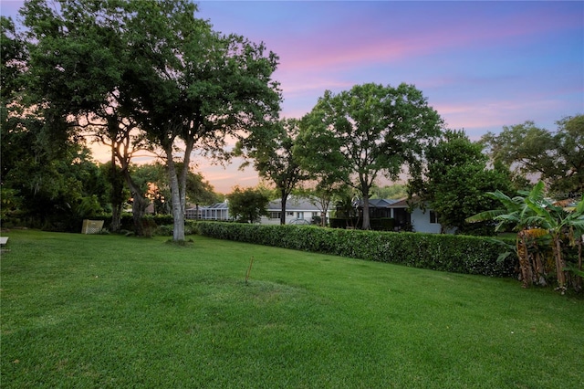 view of yard at dusk