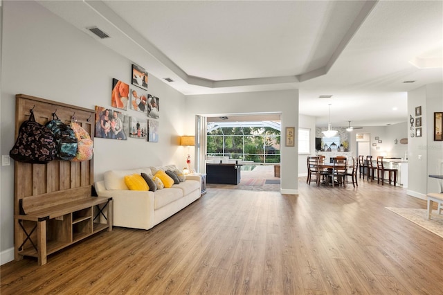 6020 Kestrel Point Ave, Lithia, FL 33547 - living area featuring wood finished floors and a tray ceiling