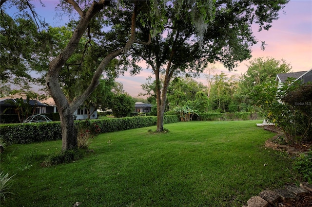 6020 Kestrel Point Ave, Lithia, FL 33547 - yard at dusk featuring a lawn