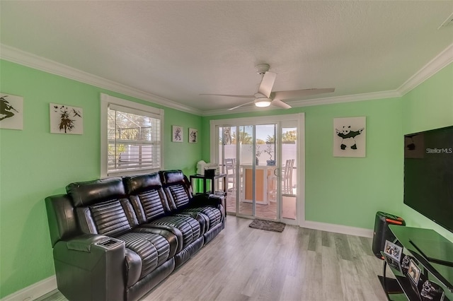 living room with a textured ceiling, light wood-type flooring, ceiling fan, and ornamental molding