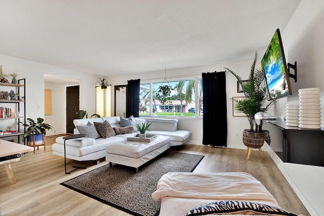 living room featuring light hardwood / wood-style floors