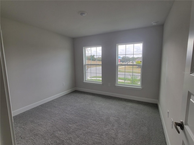 unfurnished room featuring carpet