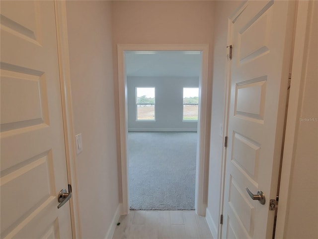 corridor featuring light colored carpet