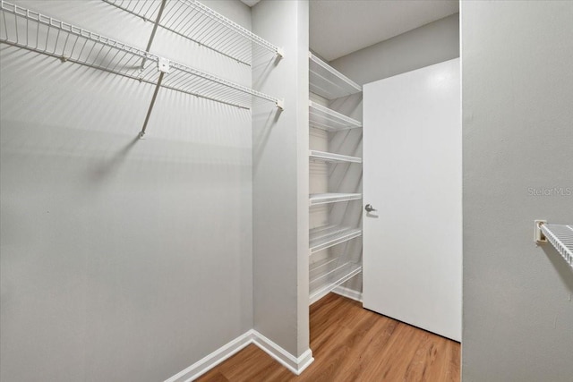 walk in closet with wood-type flooring