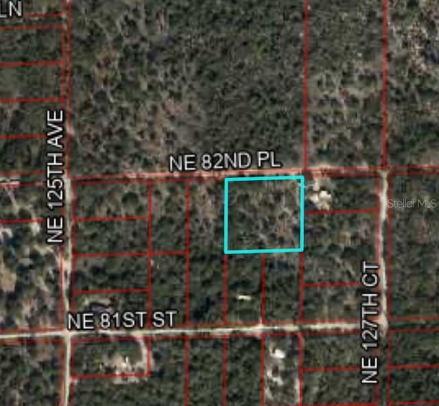 12790 NE 82nd Pl, Bronson FL, 32621 land for sale