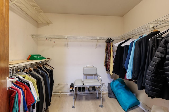 spacious closet with light wood-type flooring