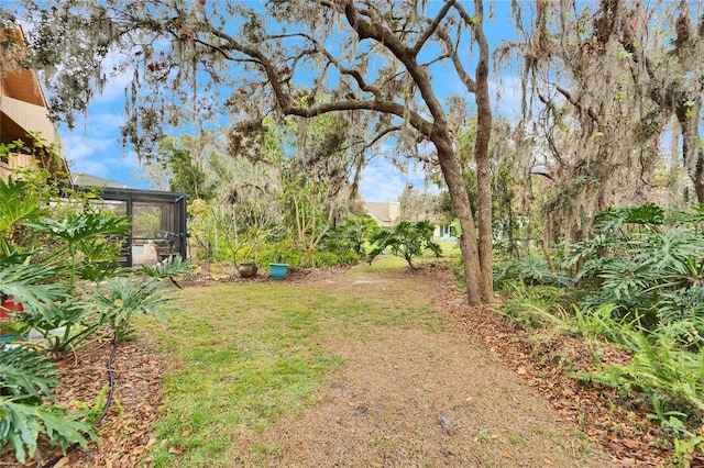 view of yard with a lanai