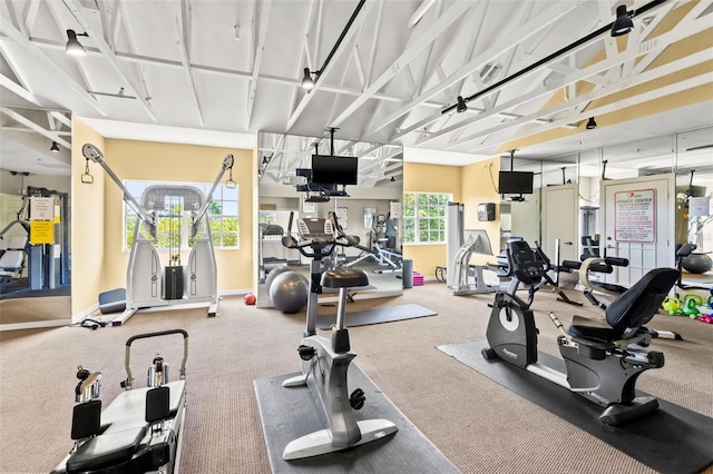 exercise room featuring carpet flooring