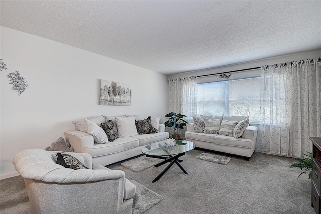 carpeted living room with a textured ceiling