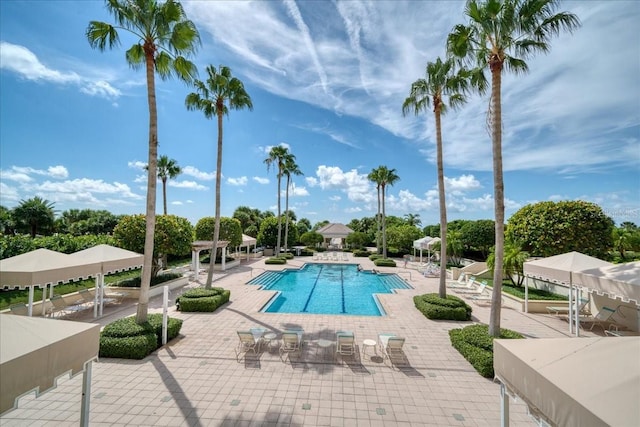 view of pool featuring a patio area