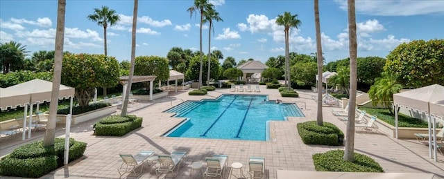 view of swimming pool featuring a patio