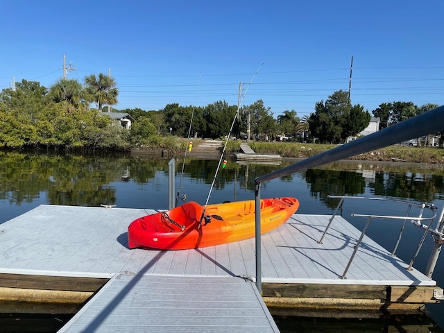 dock area with a water view