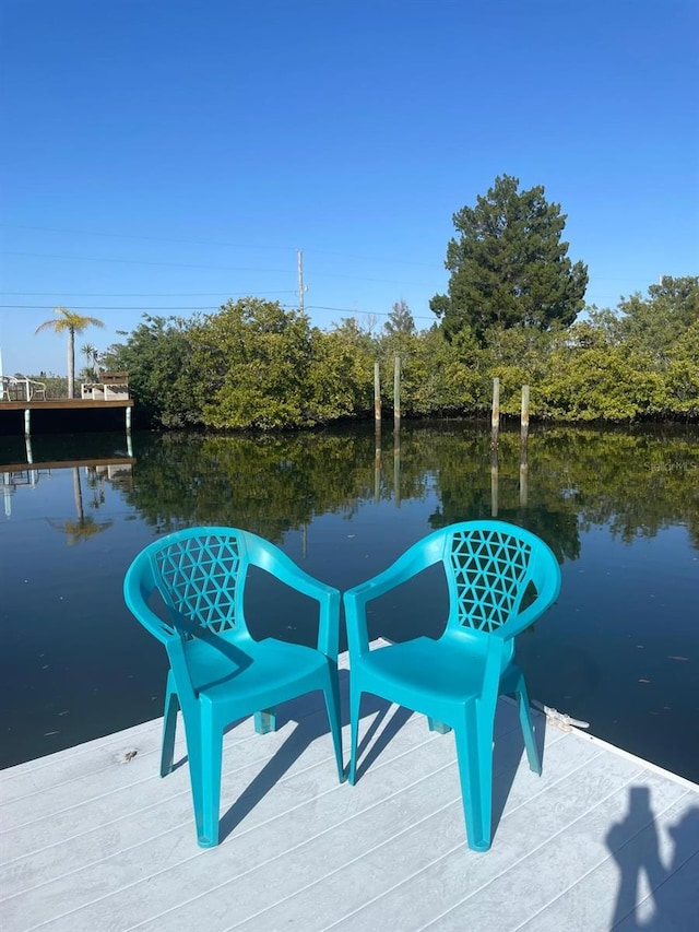 dock area with a water view