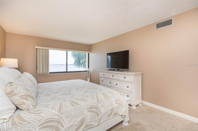 5633 Puerta Del Sol Blvd S Unit 203, Saint Petersburg, FL 33715 - photo 21