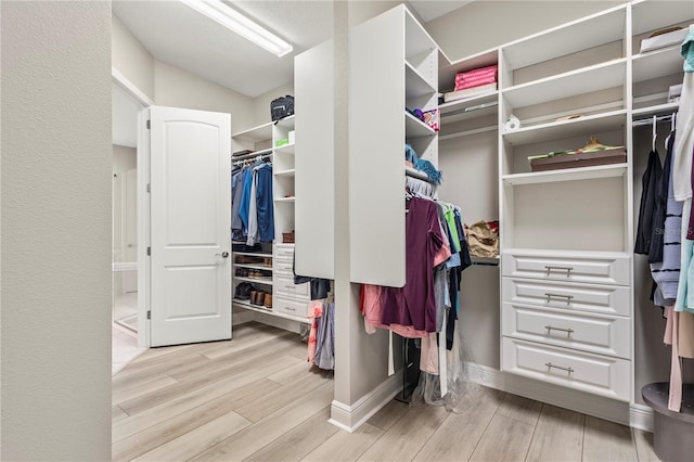 spacious closet with light hardwood / wood-style floors