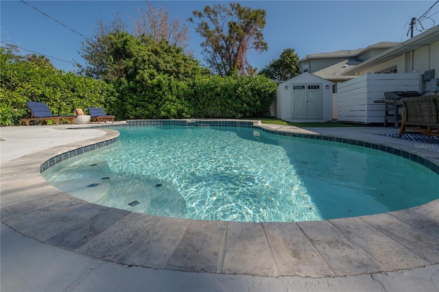 view of pool featuring a patio area and a shed