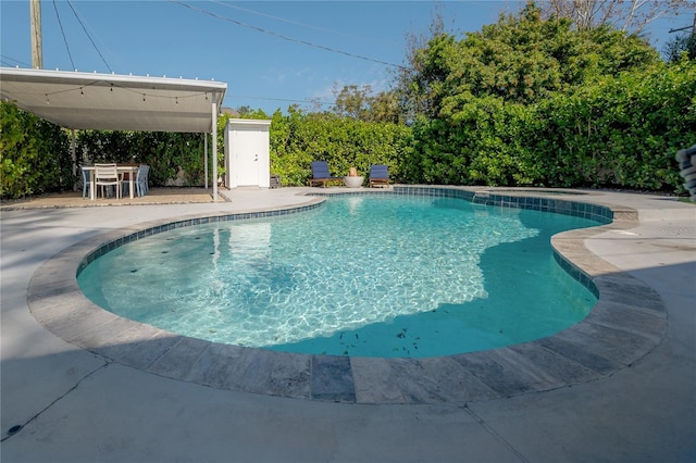 view of swimming pool featuring a patio area