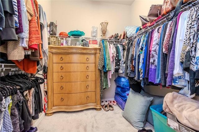 spacious closet with carpet floors