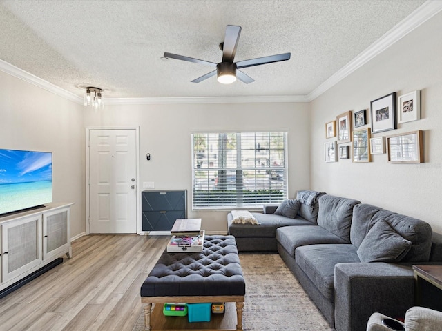 living room featuring ceiling fan, ornamental molding, a textured ceiling, and light hardwood / wood-style flooring