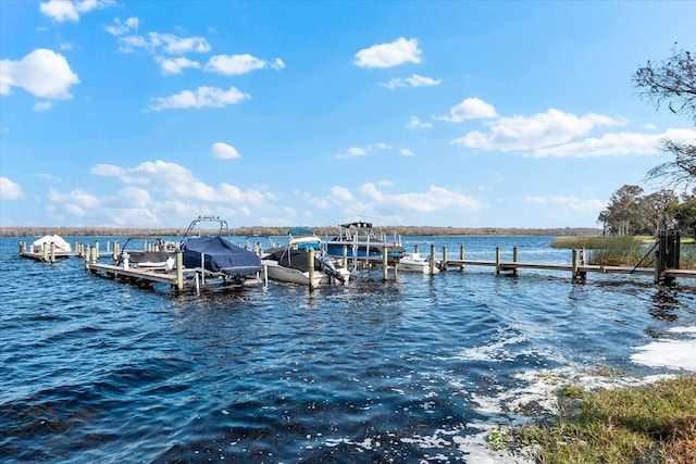 dock area with a water view