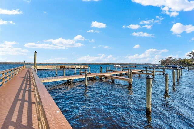 dock area featuring a water view