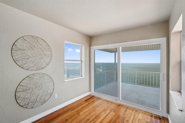 6423 Driftwood Dr, Hudson, FL 34667 - unfurnished room with light wood-type flooring, baseboards, a textured wall, and a textured ceiling