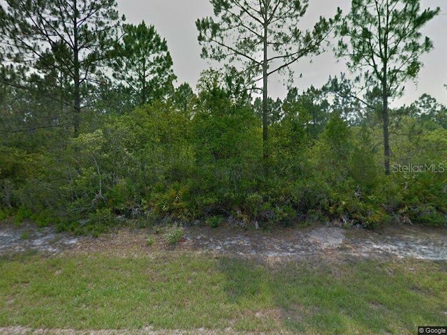 59 Karas Trl, Palm Coast FL, 32164 land for sale