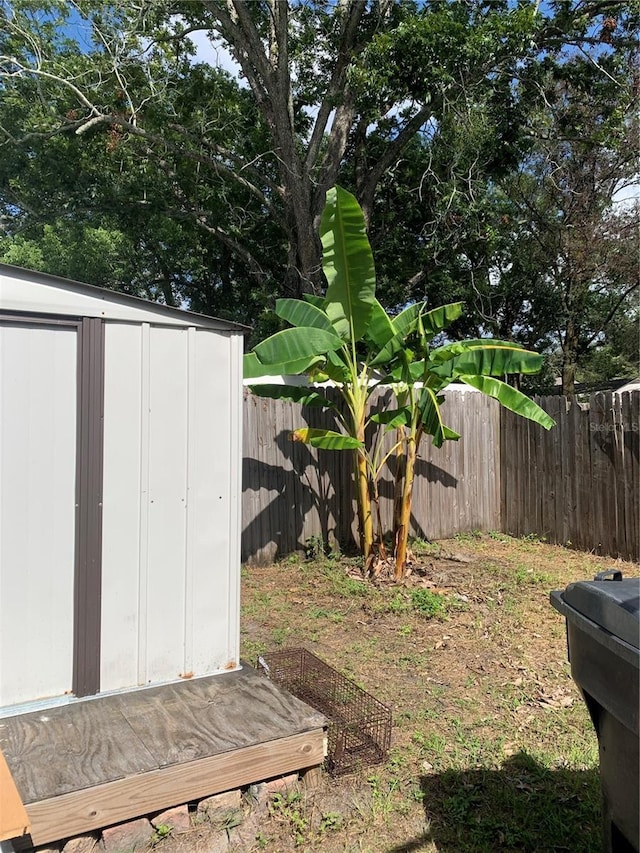 view of yard featuring a shed