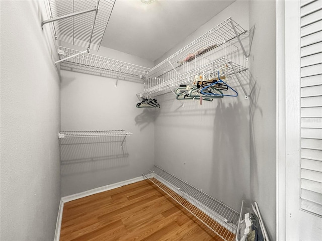 spacious closet featuring hardwood / wood-style flooring