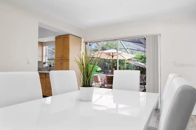 dining area featuring sink