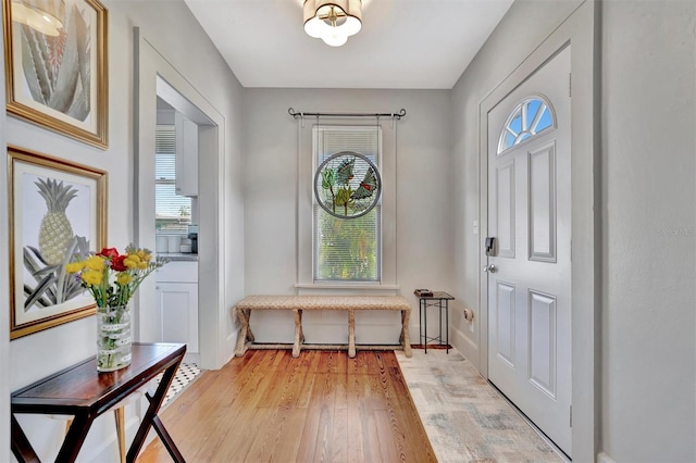 entrance foyer featuring light hardwood / wood-style floors