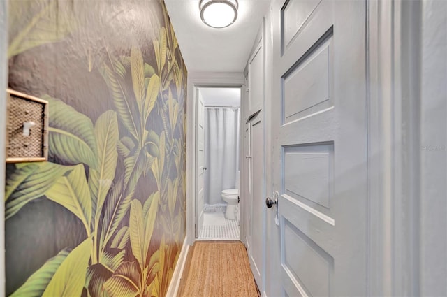 hallway featuring light hardwood / wood-style flooring