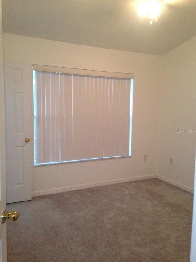 spare room with carpet