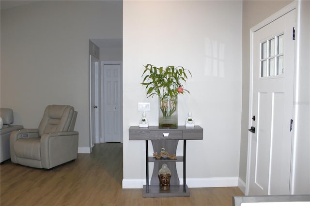 entryway featuring hardwood / wood-style flooring