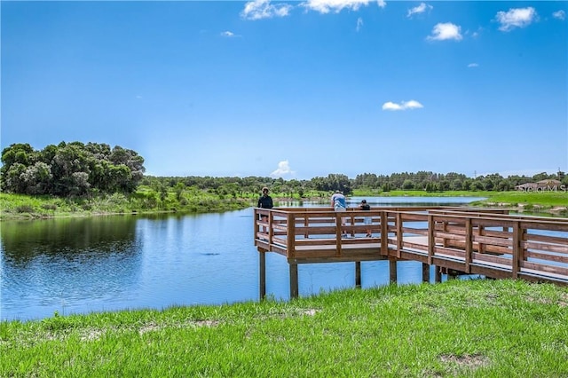 dock area with a water view