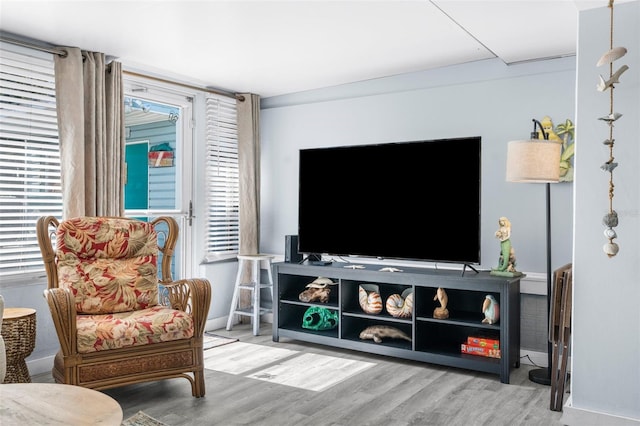 sitting room with hardwood / wood-style floors