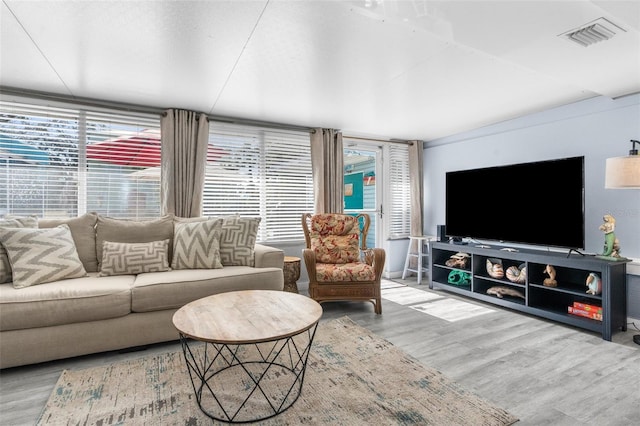 living room featuring wood-type flooring