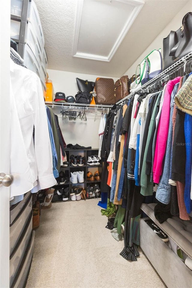 walk in closet with carpet