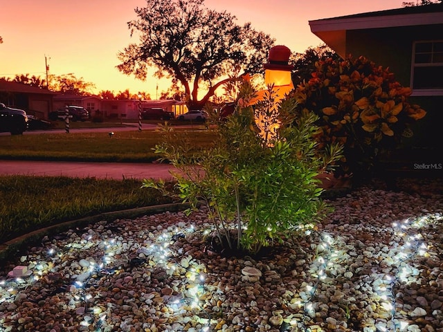 view of yard at dusk