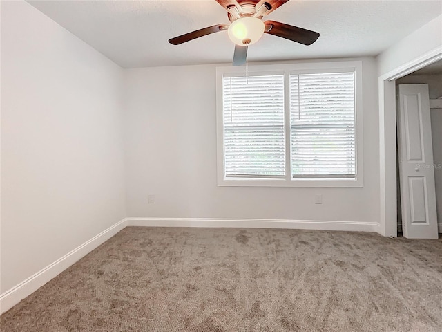 718 34th Ave S, Saint Petersburg, FL 33705 - photo 63