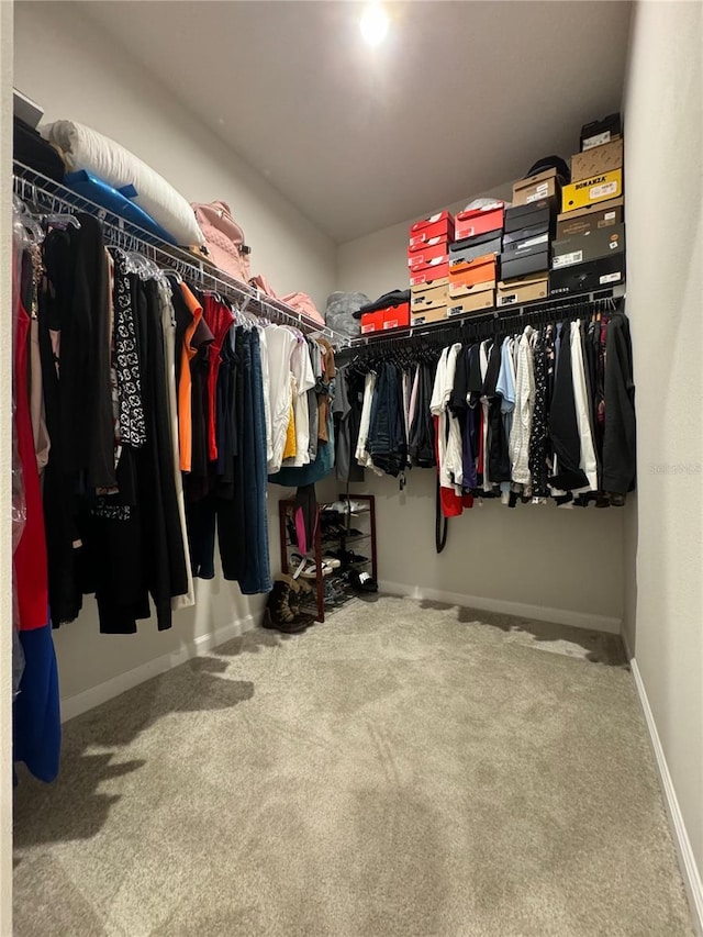 walk in closet featuring carpet