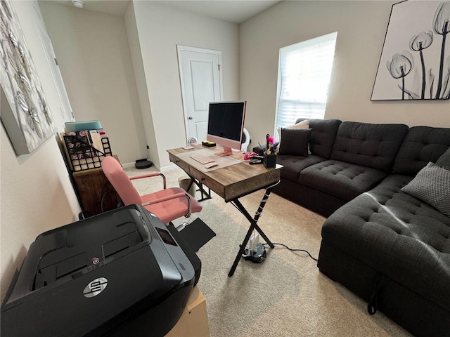 living room with carpet