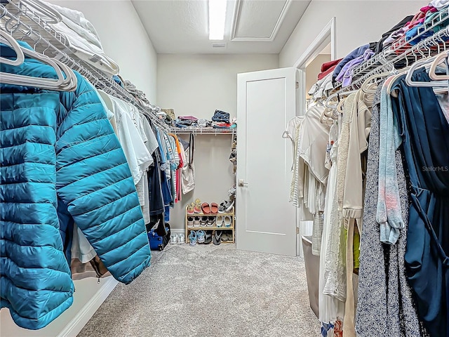 walk in closet featuring carpet