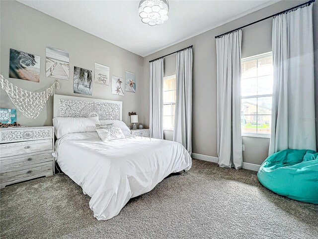 13028 Homestead Ln, Parrish, FL 34219 - carpeted bedroom with baseboards
