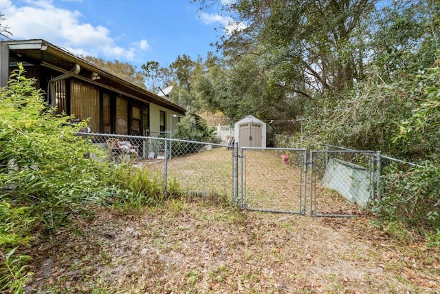 view of yard with a storage unit