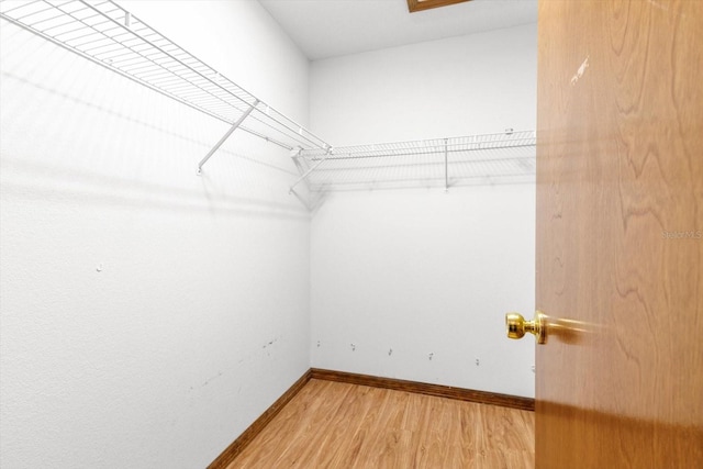 walk in closet with hardwood / wood-style flooring