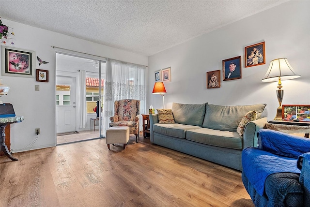 living room with hardwood / wood-style flooring and a textured ceiling