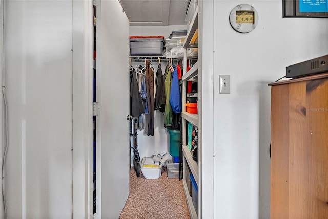 view of walk in closet