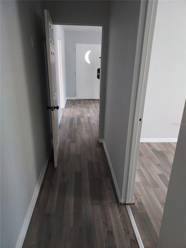 hallway with wood-type flooring