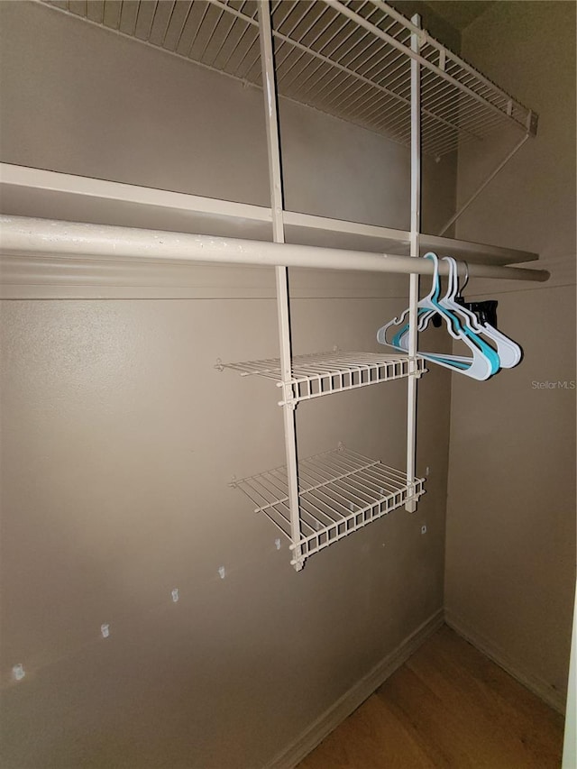 walk in closet featuring wood-type flooring